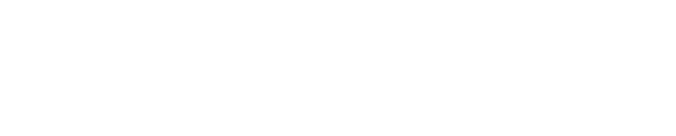 RaidVM Logo